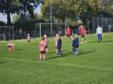 JO7 Toernooitje op Sportpark Het Springer zaterdag 21 september 2024 (67/147)